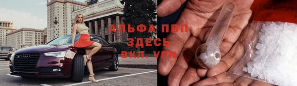 хмурый Алексеевка