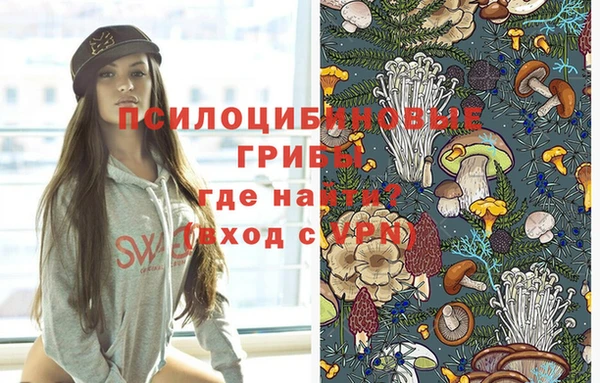 мескалин Алексин