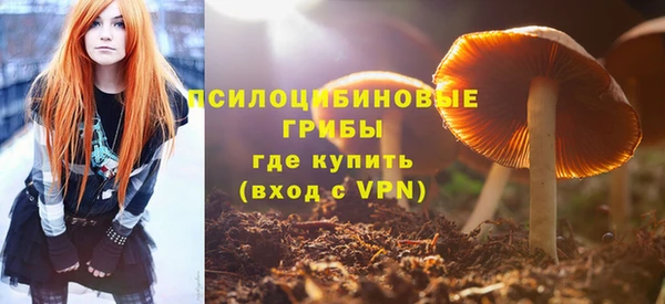 мескалин Алексин
