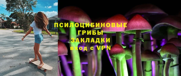 хмурый Алексеевка
