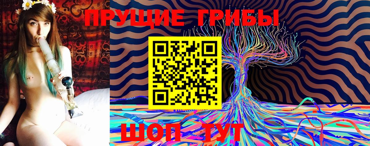 Алушта  Галлюциногенные грибы прущие грибы  Галлюциногенные грибы MAGIC MUSHROOMS  наркота  Вход с VPN 